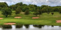 A Little Sawgrass in Stillwater