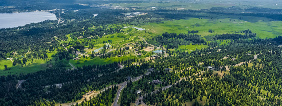The Whitetail Golf Club